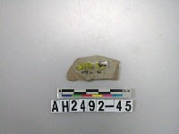 藏品(磨製玉矛殘件)的圖片